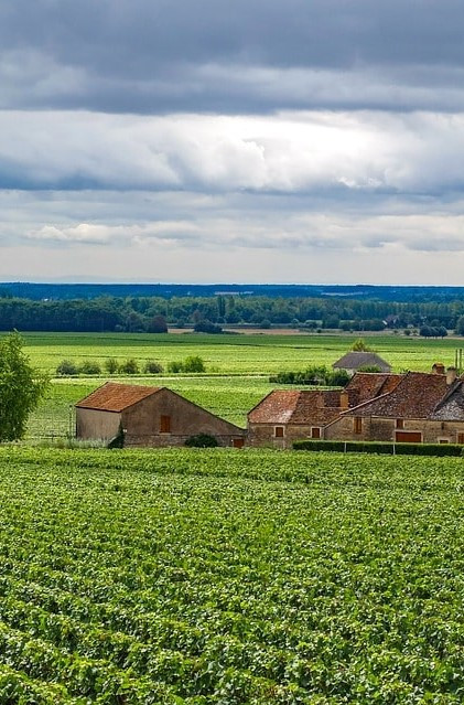 GreenGo - Location vacances avec animaux en Bourgogne Franche Comté