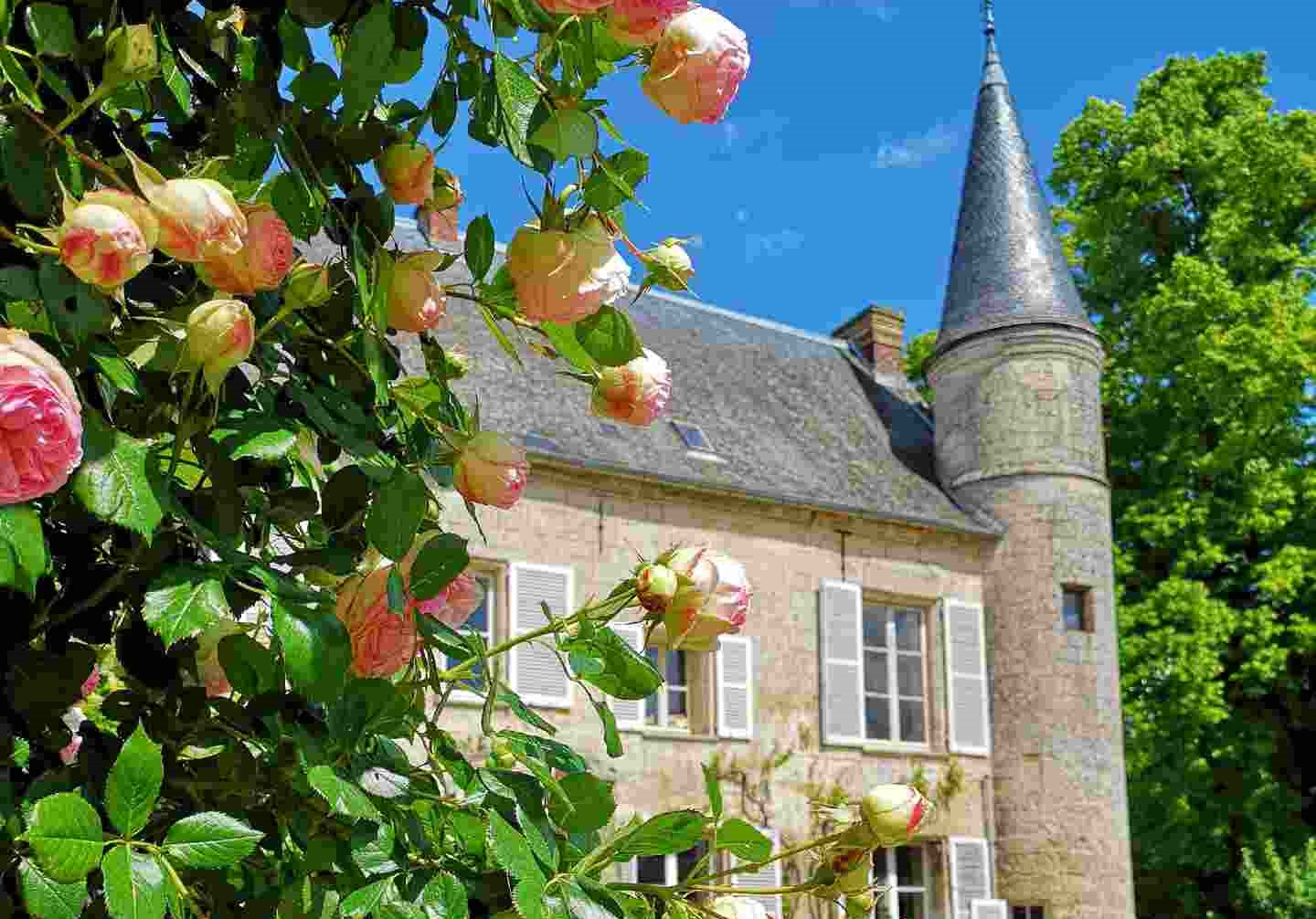 GreenGo - Chambre d'hôtes dans les Hauts-de-France