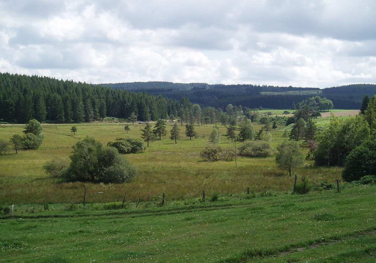 GreenGo - Cabane dans les arbres dans la Creuse
