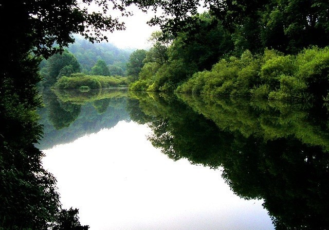 GreenGo - Cabane dans les arbres dans le Doubs