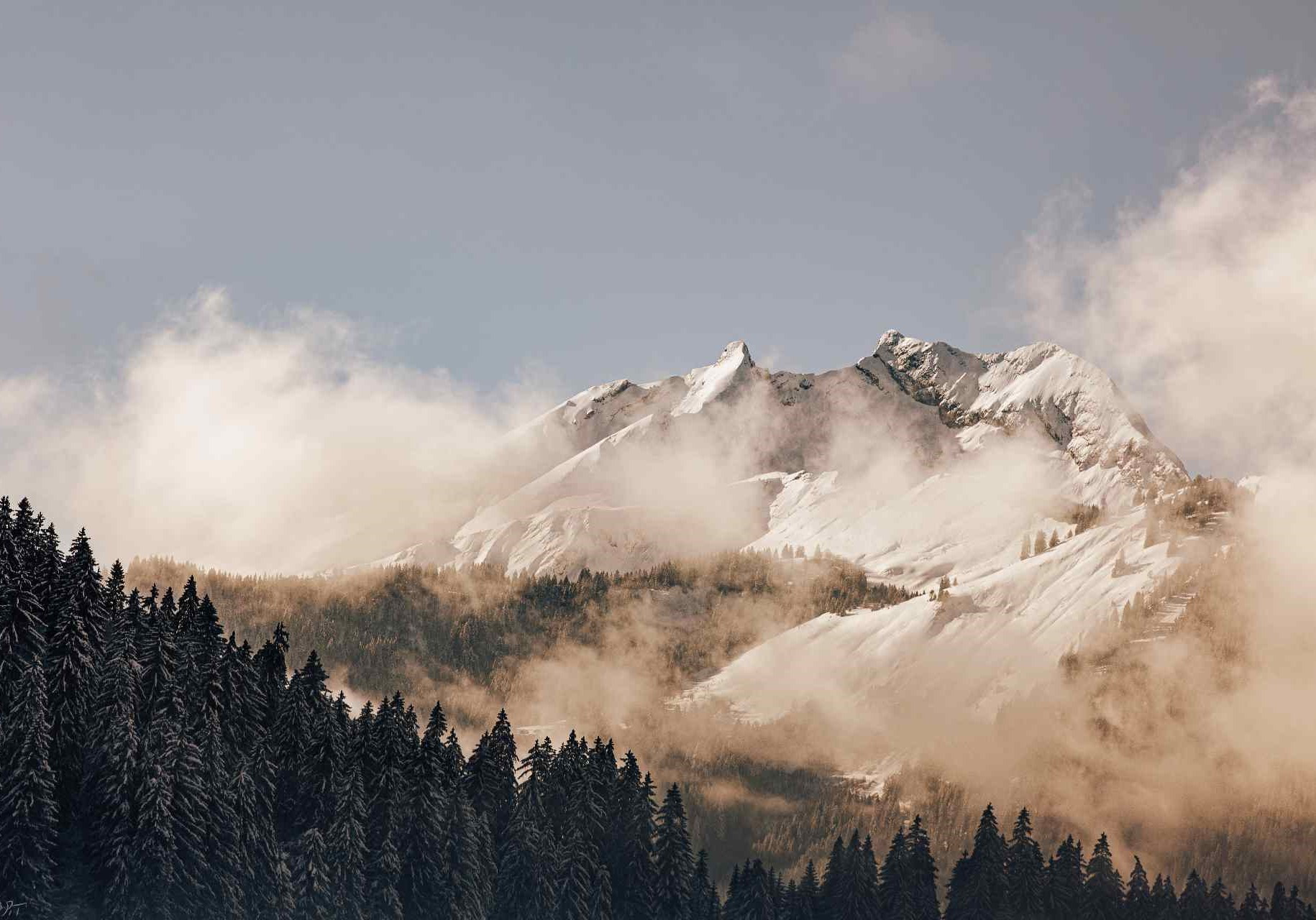 GreenGo - Cabane dans les arbres dans les Hautes-Alpes