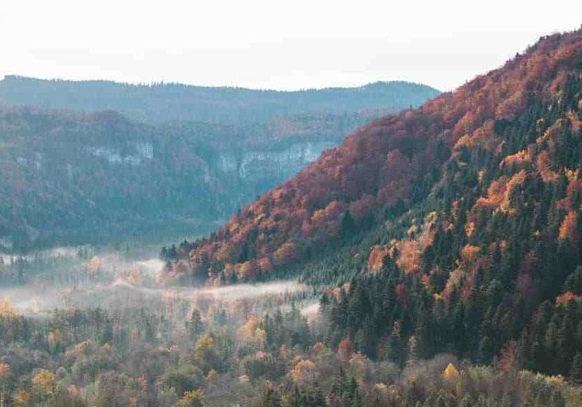 GreenGo - Vacances à la ferme avec animaux dans le Jura