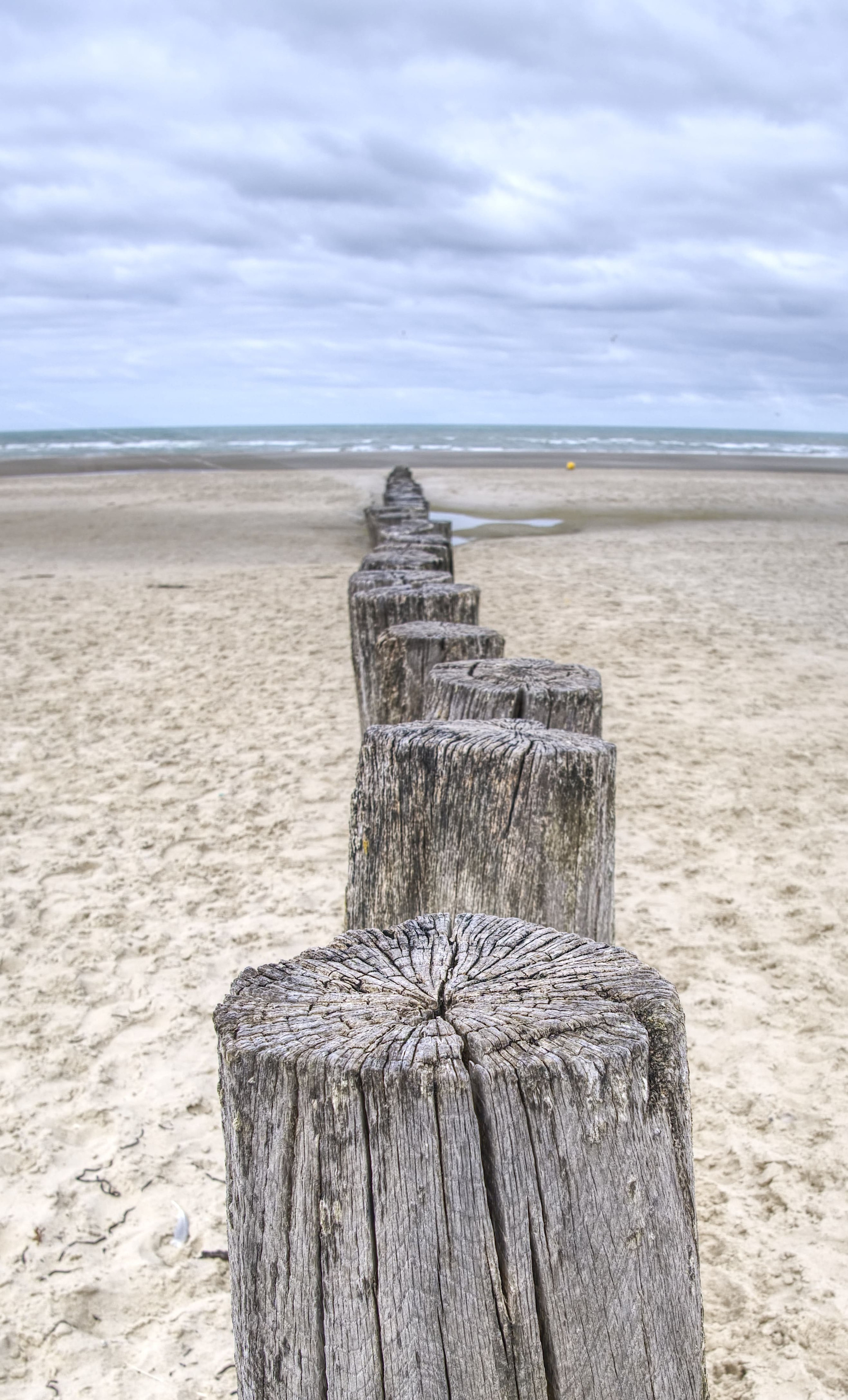 GreenGo - Location gîte à Berck-sur-Mer