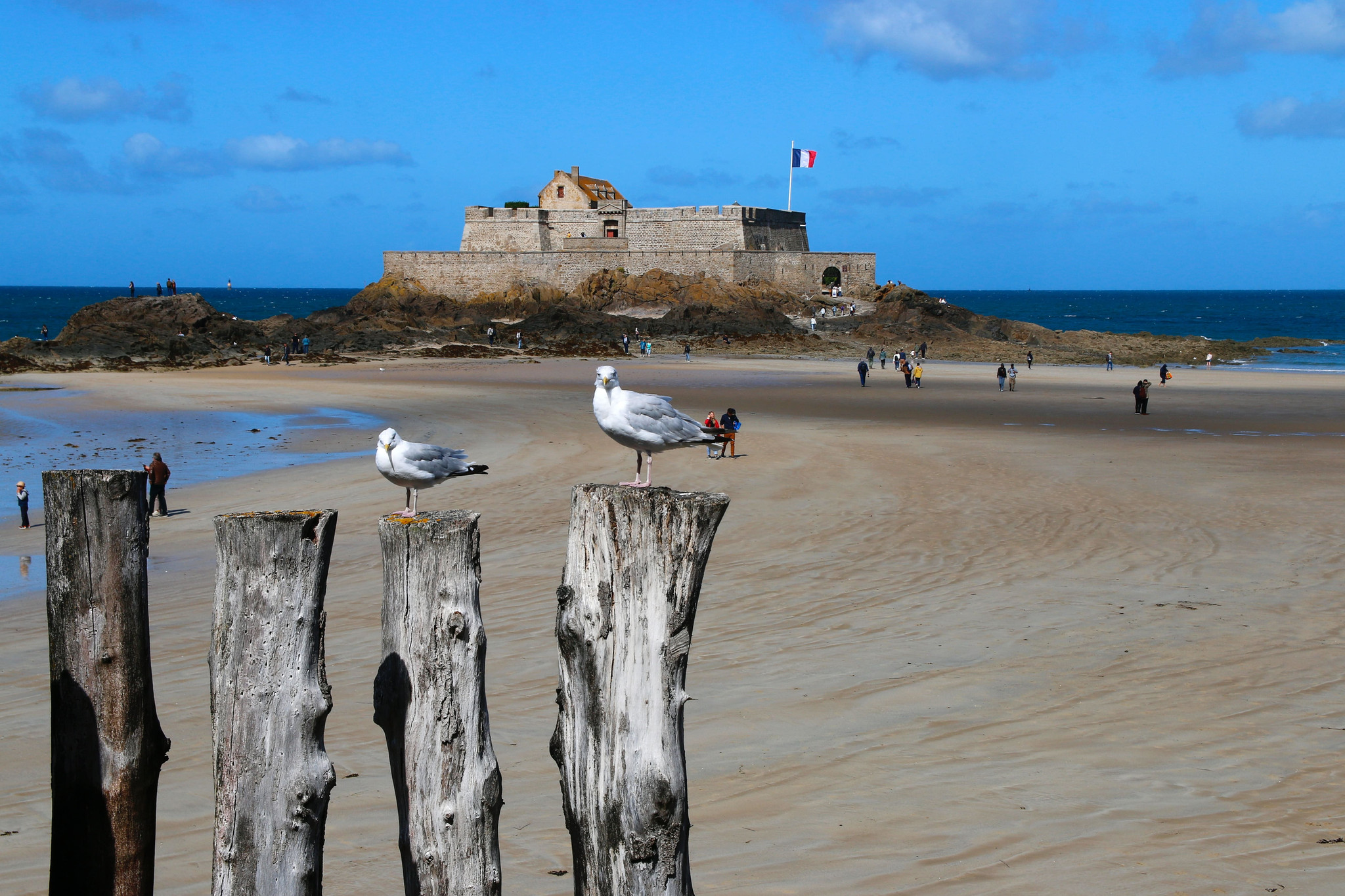 GreenGo - Location gîte à Saint-Malo