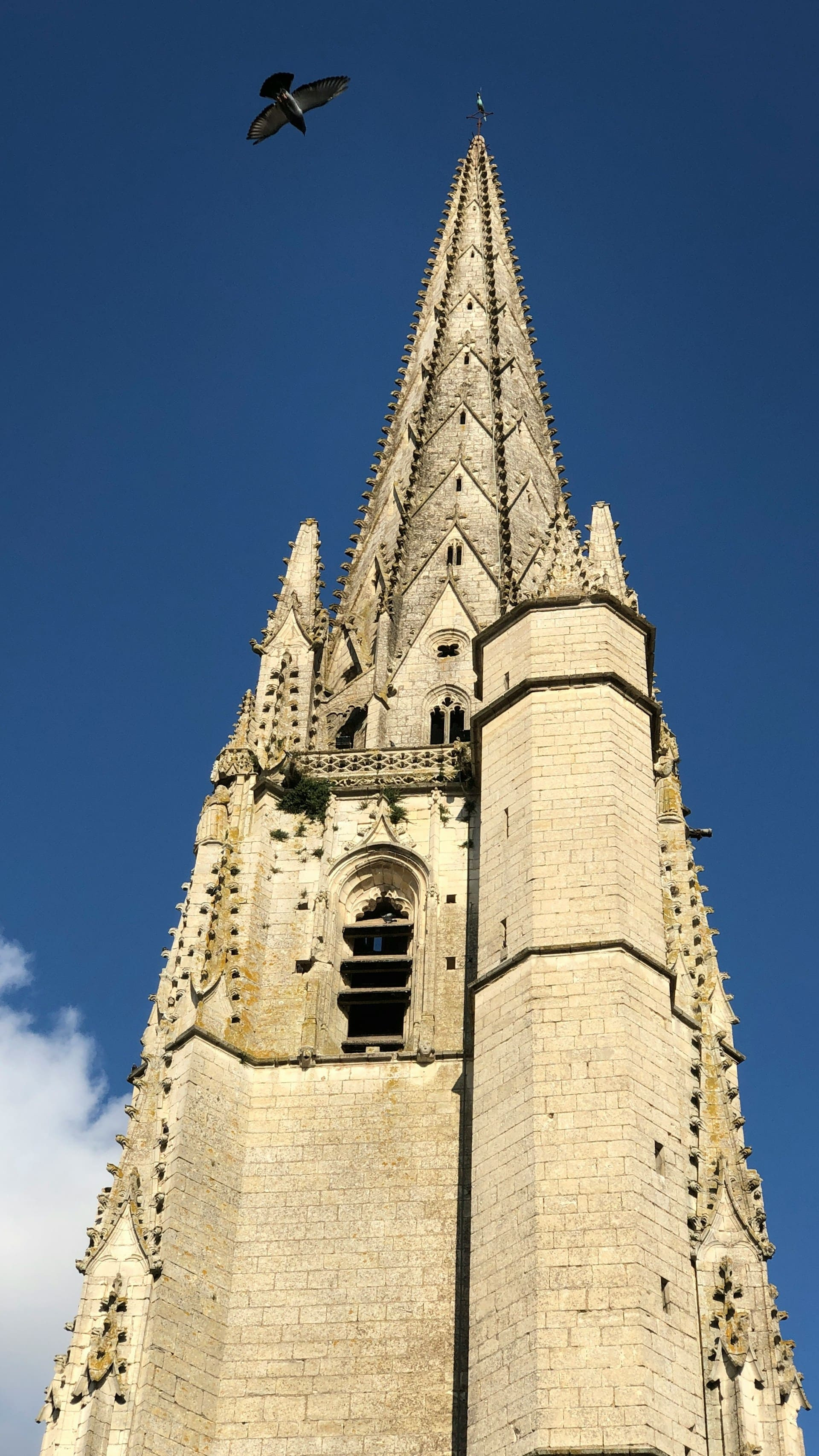 GreenGo - Location à Niort