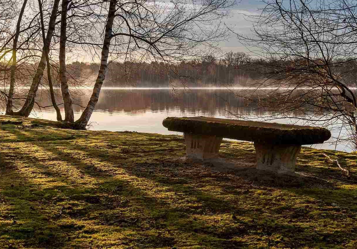GreenGo - Location yourte dans le Loiret