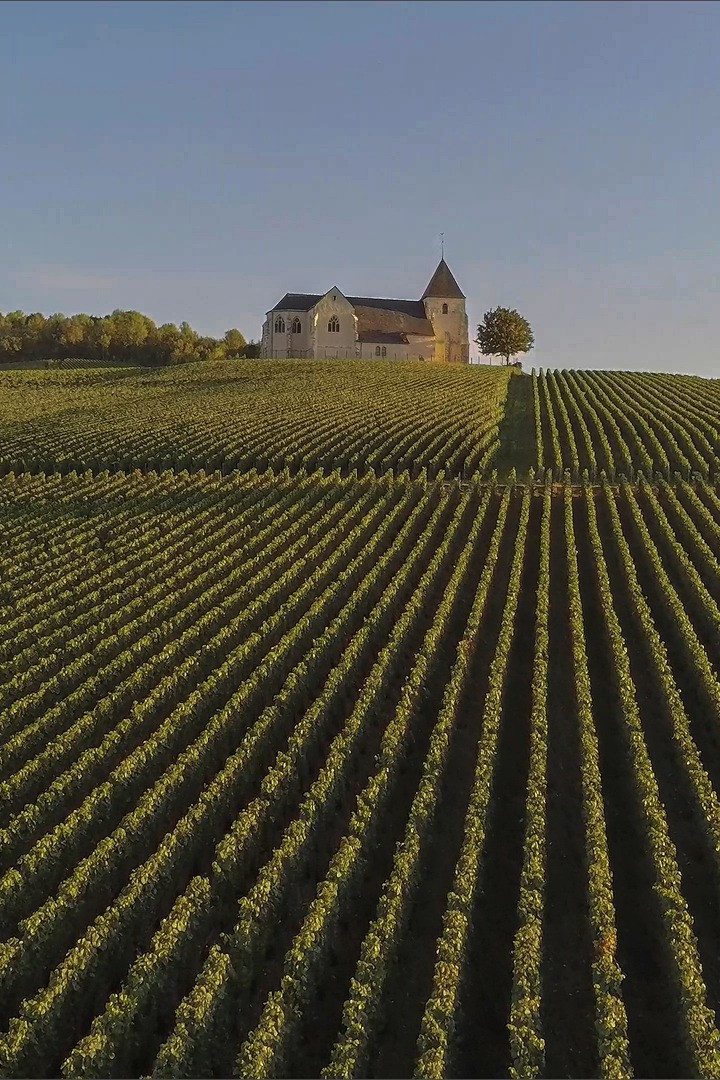 GreenGo - Grand gîte dans la Marne