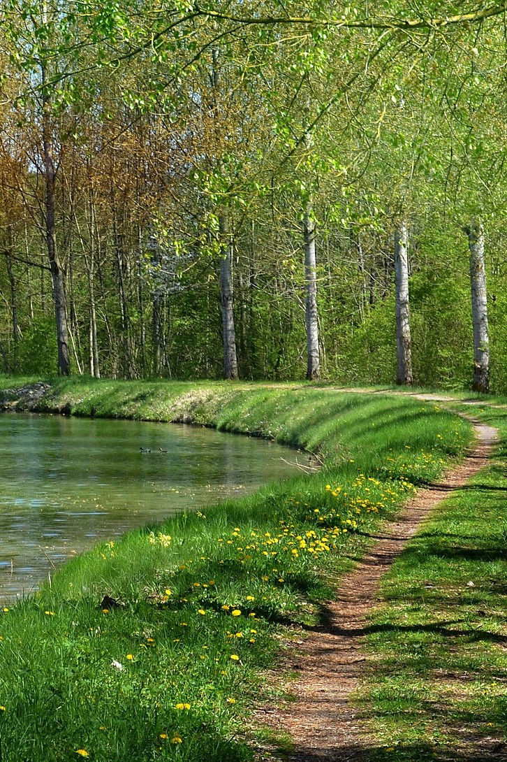 GreenGo - Grand gîte dans la Meuse