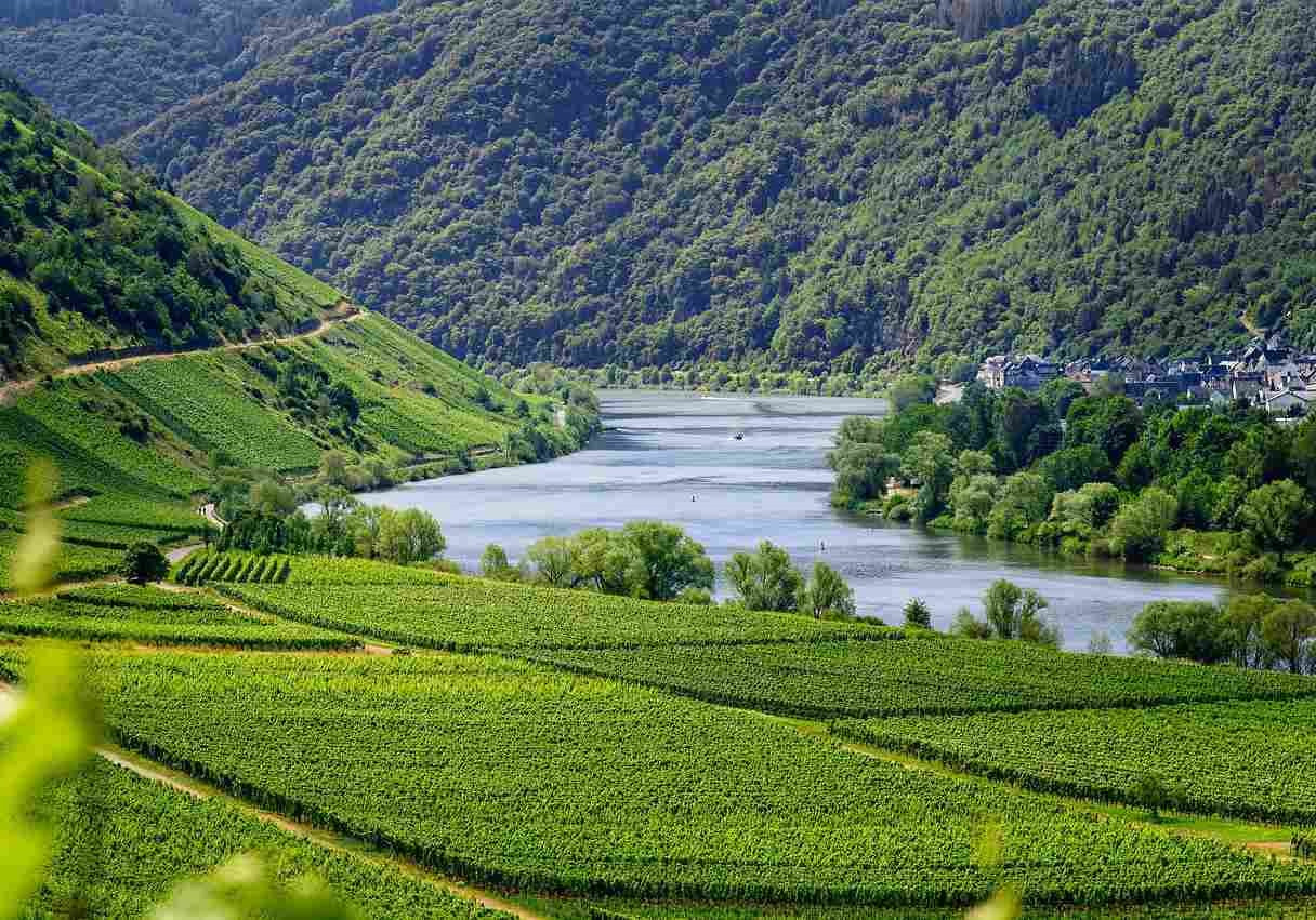 GreenGo - Roulotte en Moselle