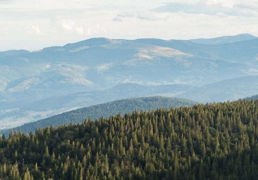 GreenGo - Vacances famille nombreuse dans les Vosges