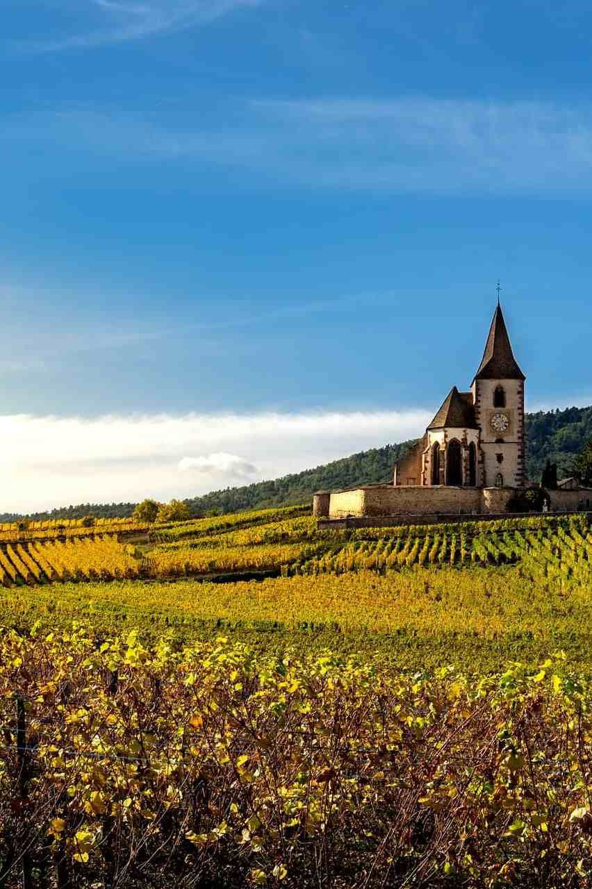 GreenGo - Alsace-Lorraine