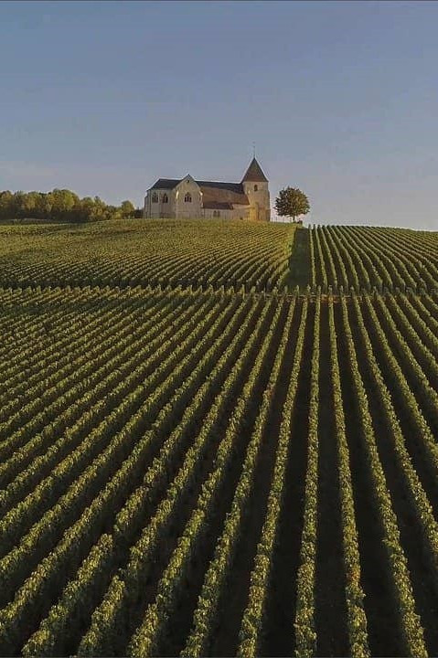 GreenGo - Champagne-Ardennes