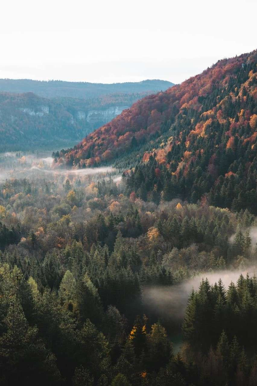 GreenGo - Franche-Comté