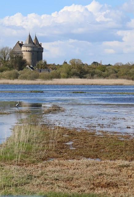 GreenGo - Bretagne-Sud