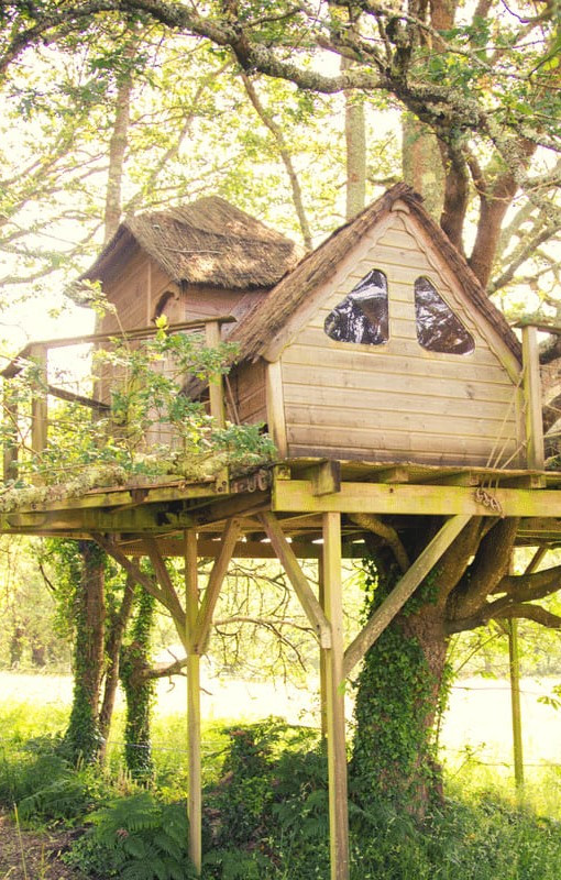 GreenGo - Cabane dans les arbres