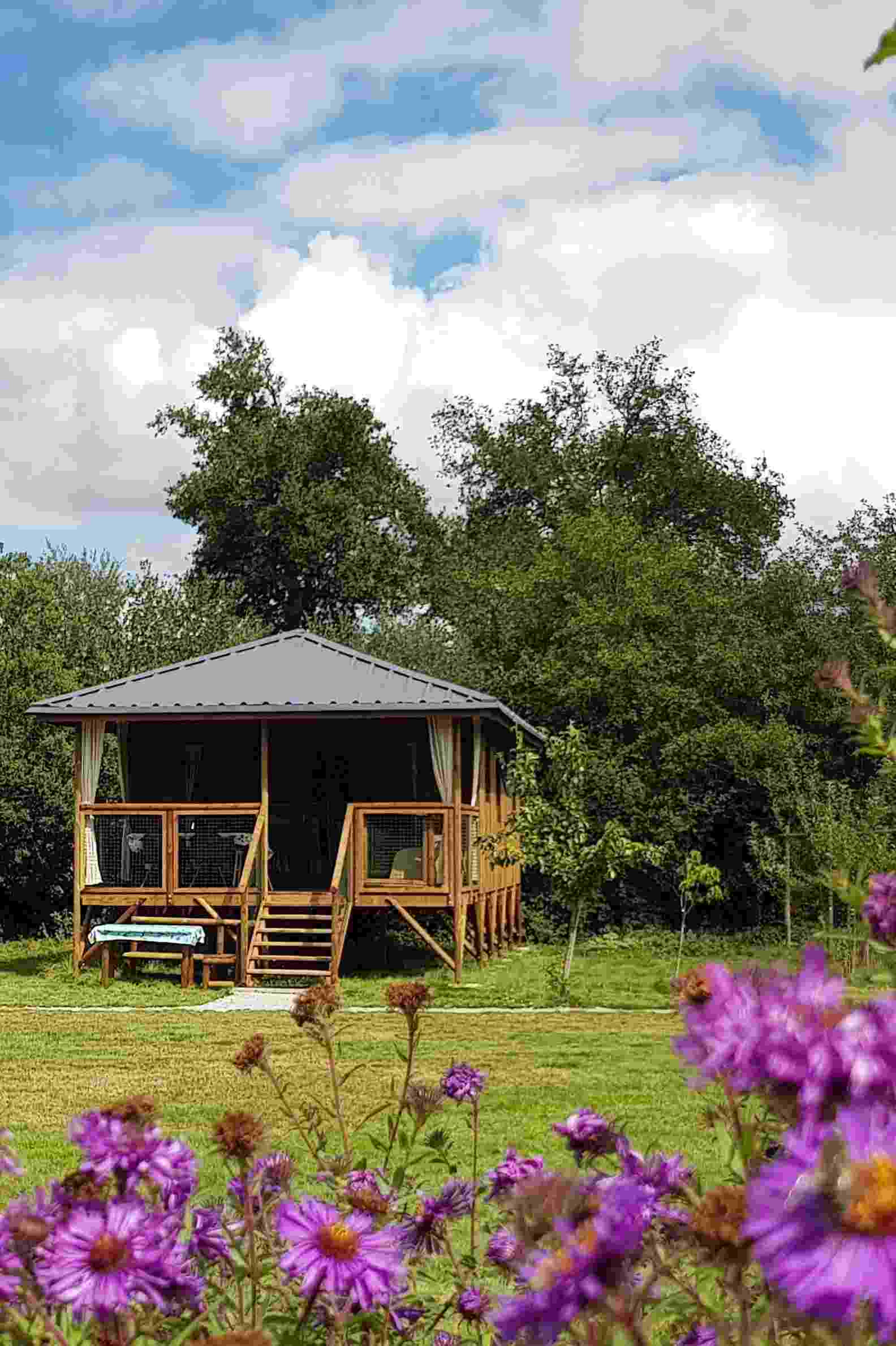 GreenGo - Camping