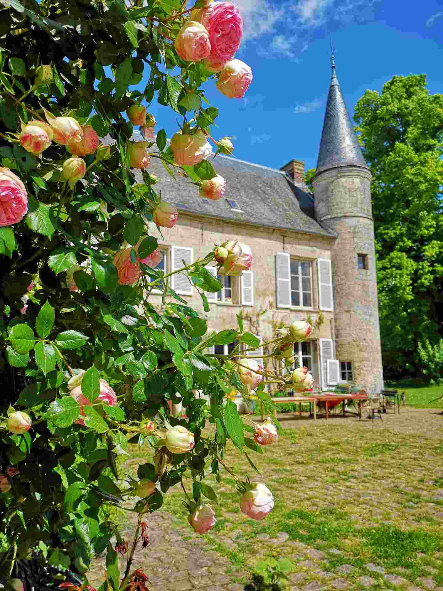 GreenGo - Chambre d'hôtes