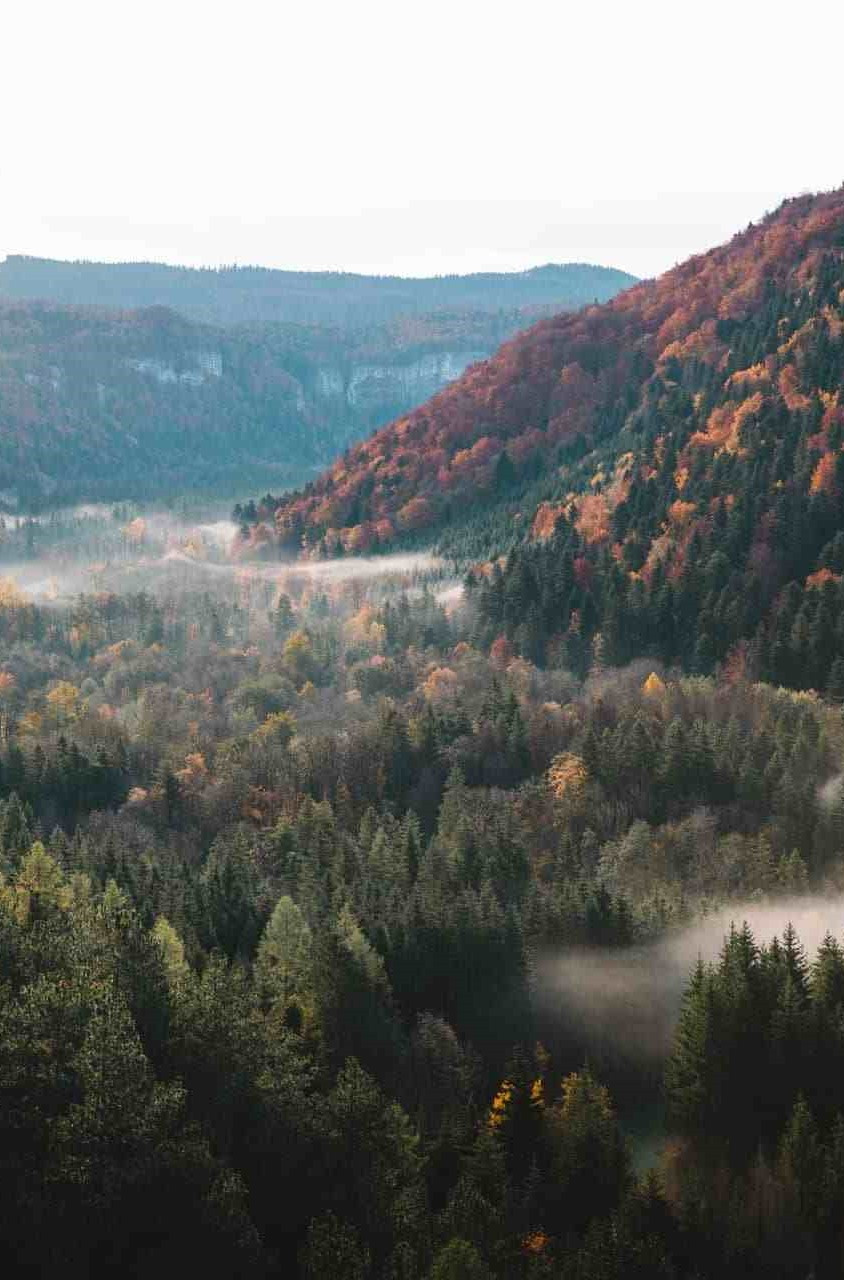 GreenGo - Jura