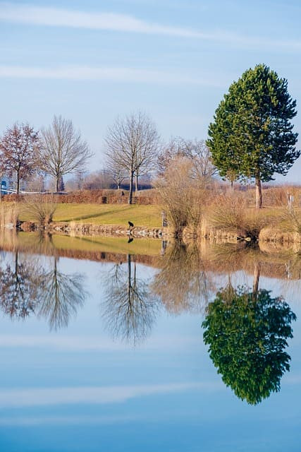 GreenGo - Lac du Der