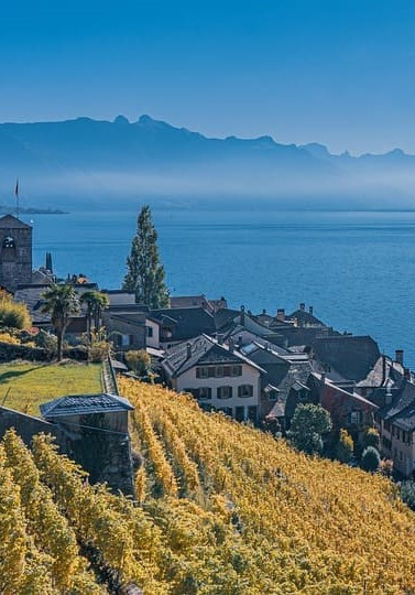 GreenGo - Lac Léman