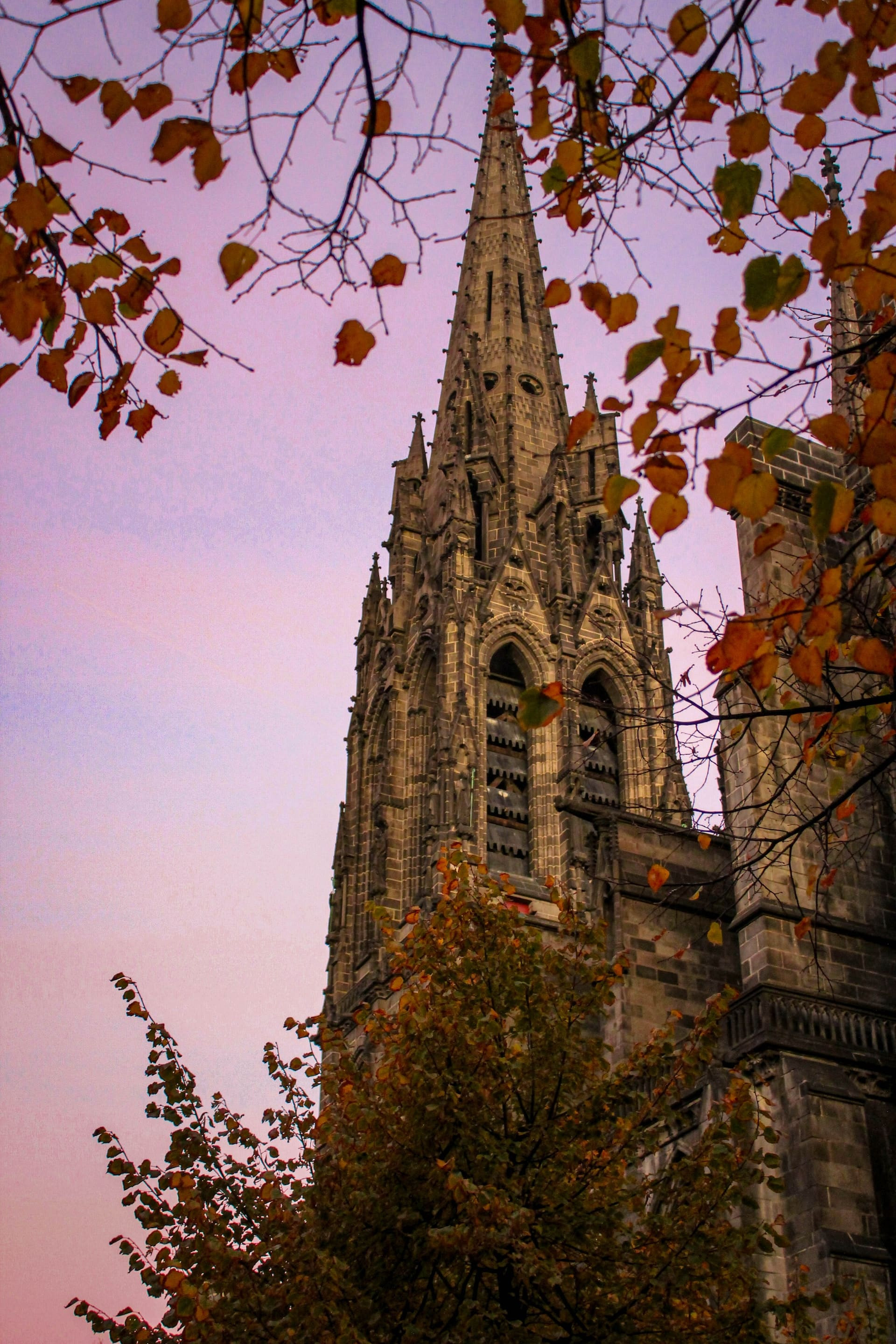 GreenGo - Clermont-Ferrand