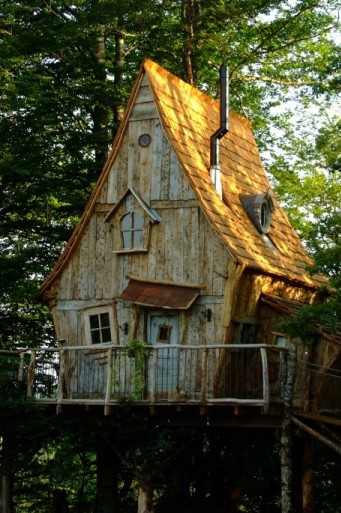 GreenGo - Logement insolite
