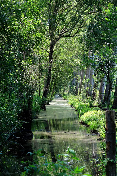 GreenGo - Marais Poitevin