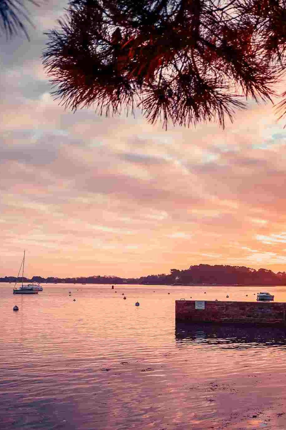 GreenGo - Morbihan