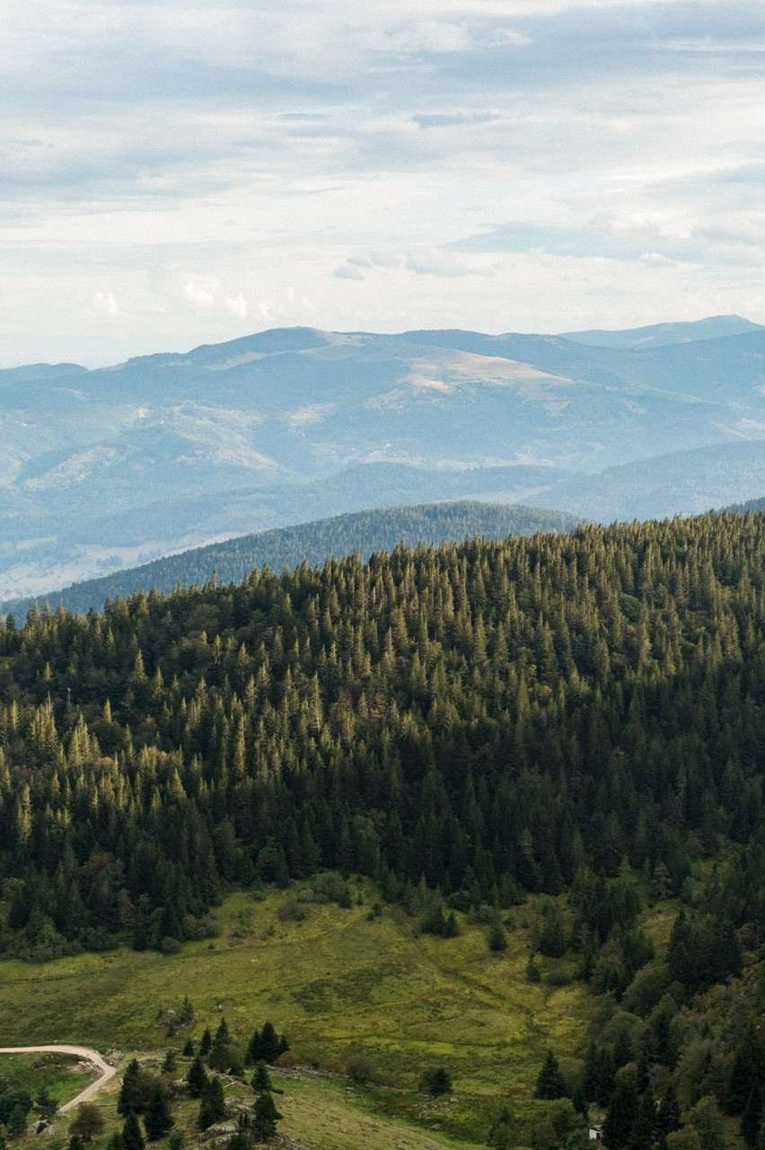 GreenGo - Vosges