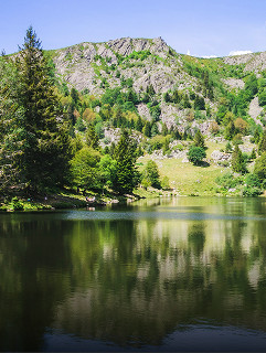 GreenGo - Les Vosges