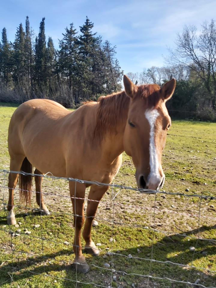 GreenGo - Voyageur GreenGo - Nelly